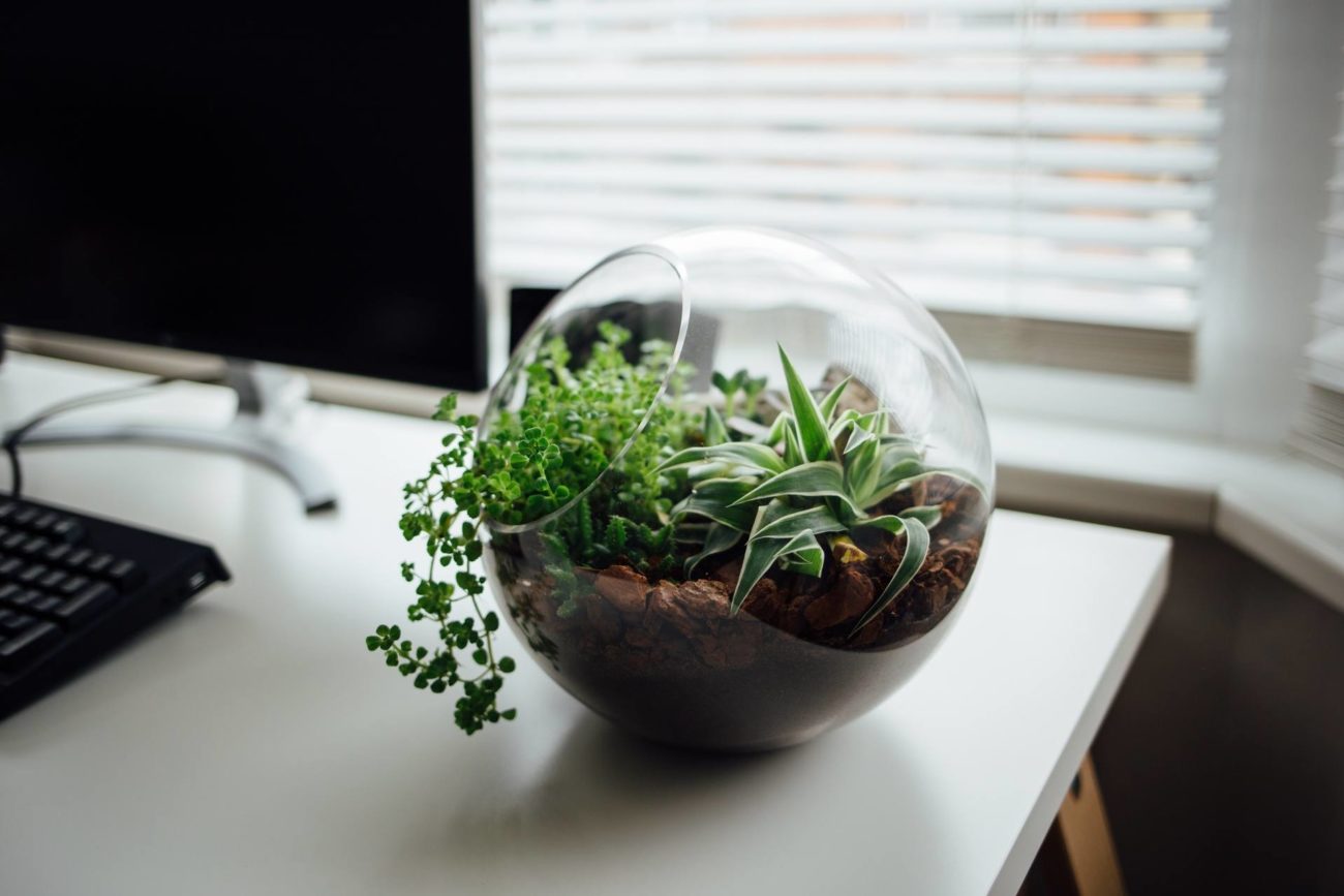 Ecological System in Office